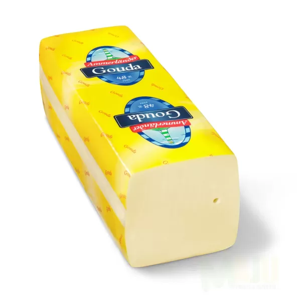 Queso Gouda